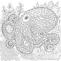 Octopus adult coloring book page Royalty Free Stock Photo